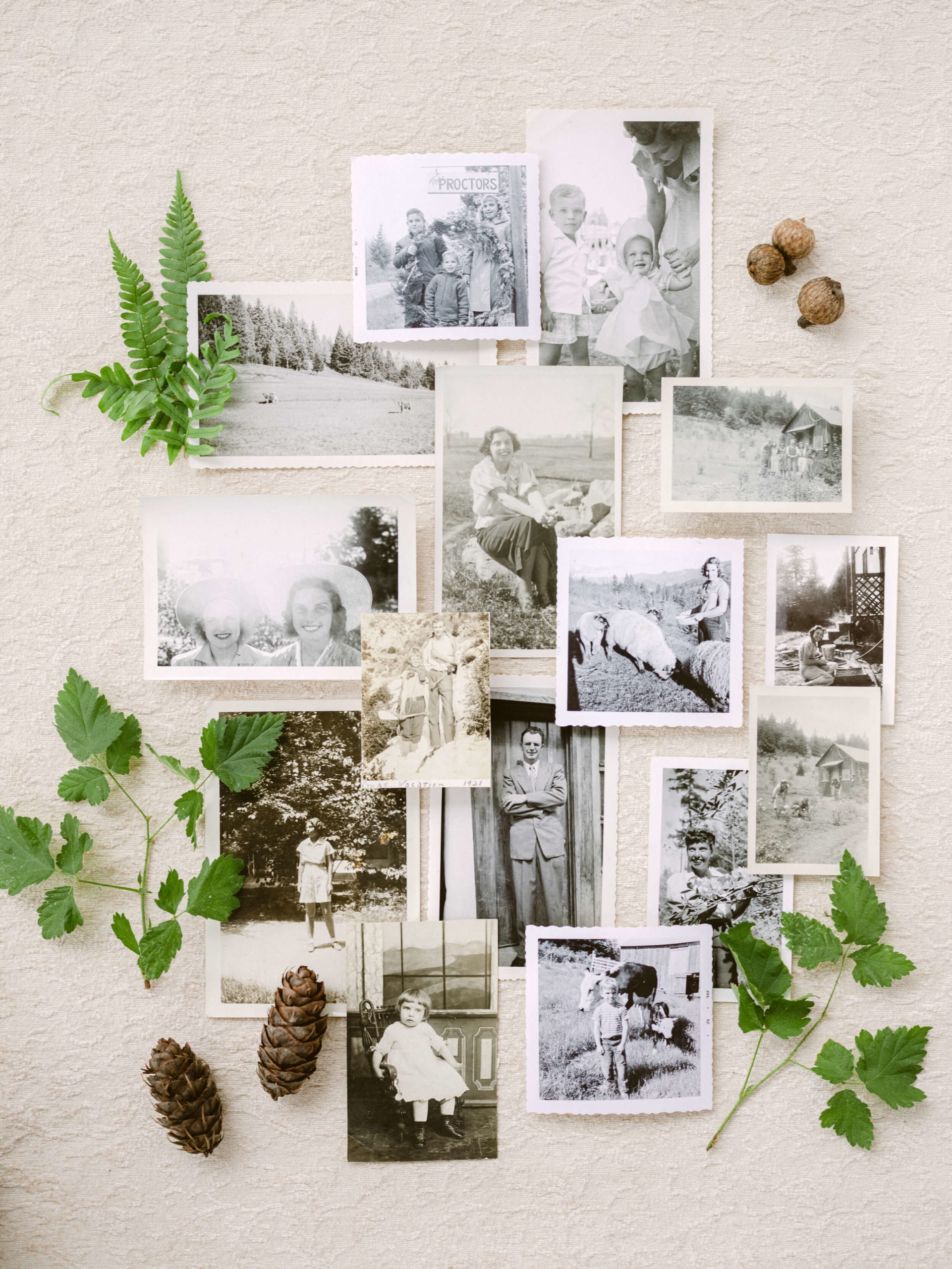 Joy Proctor finds inspiration and beauty creating at home with the KT Merry Presets.