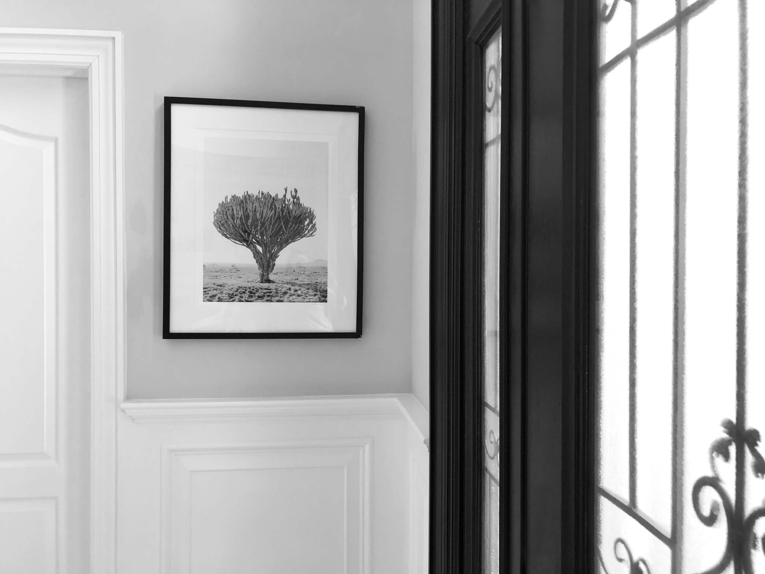 framed fine art photographic print of African landscape hangs on wall